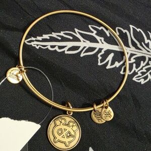 Alex And Ani Blackhawks Bracelet